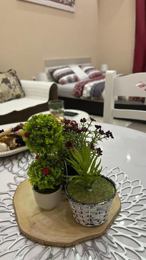 Apartment Downtown Podgorica Ngoại thất bức ảnh