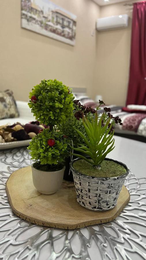 Apartment Downtown Podgorica Ngoại thất bức ảnh