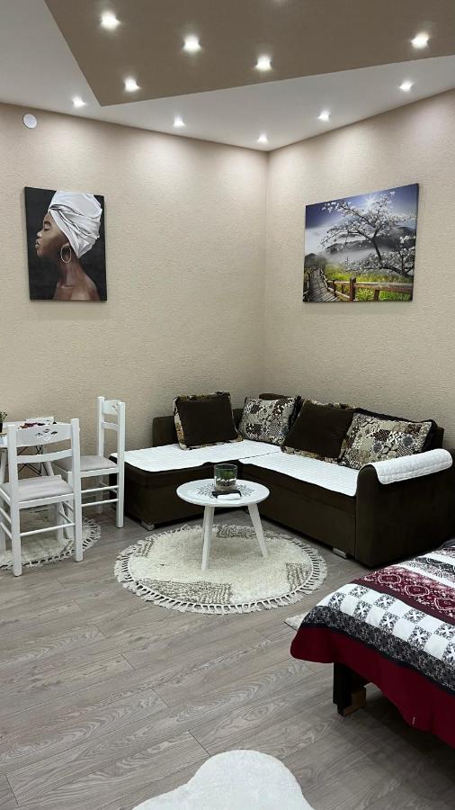 Apartment Downtown Podgorica Ngoại thất bức ảnh